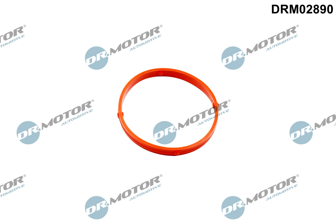 Gasket, throttle body